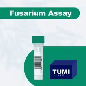 Pan Fusarium