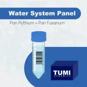 Water System Test
